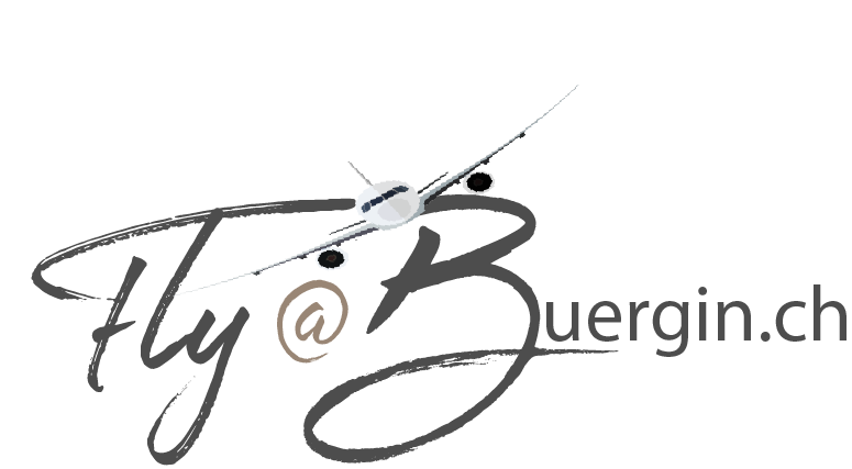 FlyBuergin